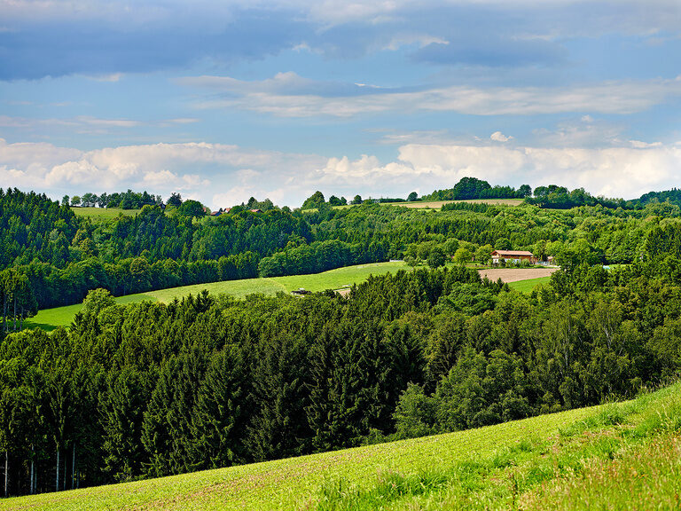 Der Blick über eine idyllische Landschaft mit Wäldern und Wiesen.