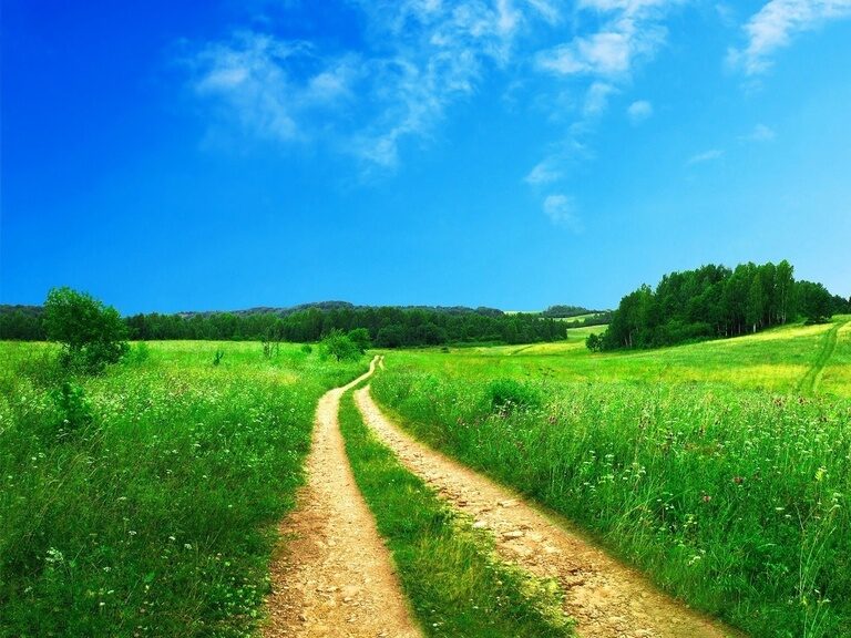 Ein Feldweg schlängelt sich durch eine malerische Landschaft mit Wiesen und Wäldern.