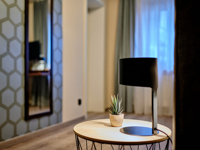 Ein eleganter Kaffeetisch, auf dem eine Pflanze steht, akzentuiert durch den Spiegel im Business Zimmer.